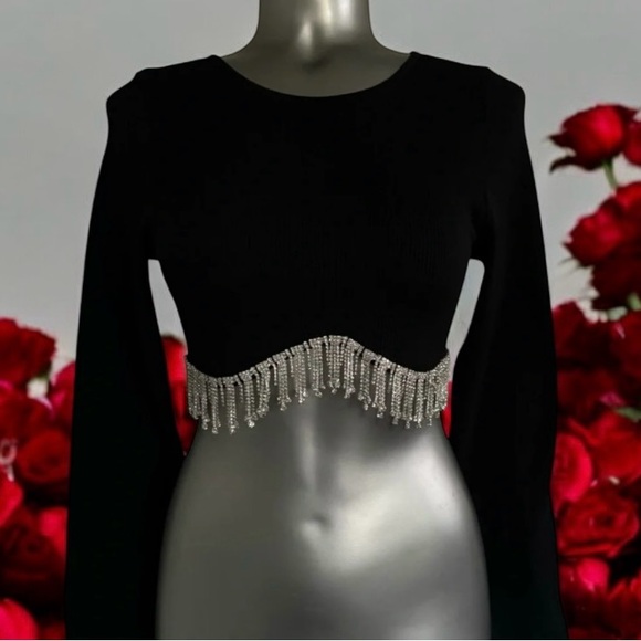 Sincerly Jules Tops - 🆕Sincerely Jules  Rhinestone Fringe Crop Top